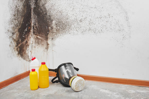 Best Mold Remediation Services  in Jenks, OK