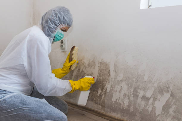 Best Commercial Mold Removal  in Jenks, OK