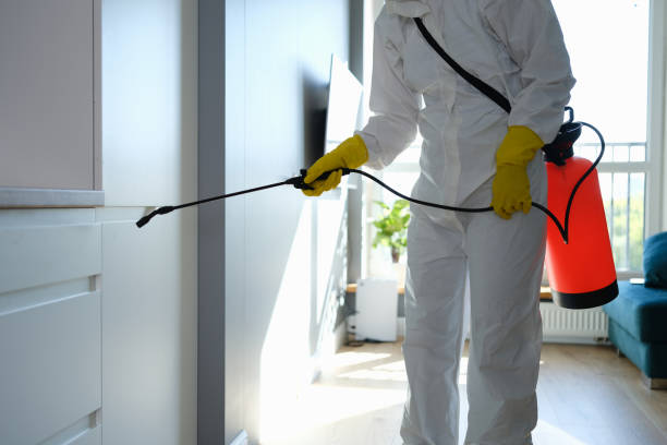 Certified Mold Removal in Jenks, OK