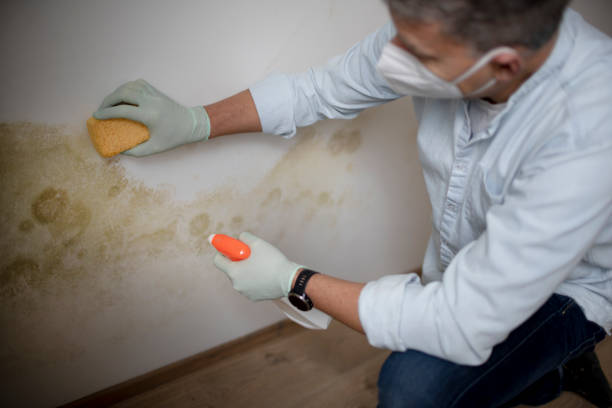 Best Mold Cleaning Services  in Jenks, OK