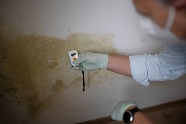Jenks, OK Mold Removal Company