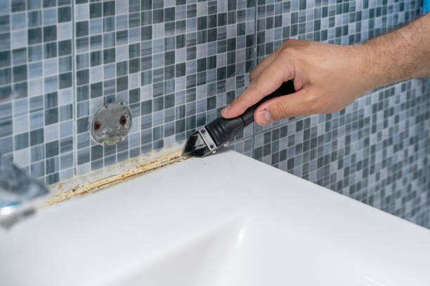 Best Local Mold Removal Service  in Jenks, OK