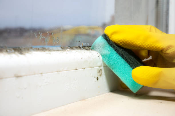 Best Home Mold Removal  in Jenks, OK