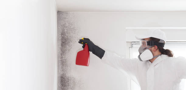 Best Toxic Mold Removal  in Jenks, OK