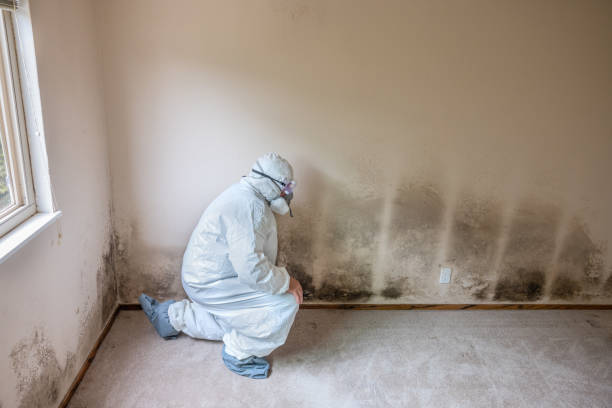 Best Mold Removal Near Me  in Jenks, OK