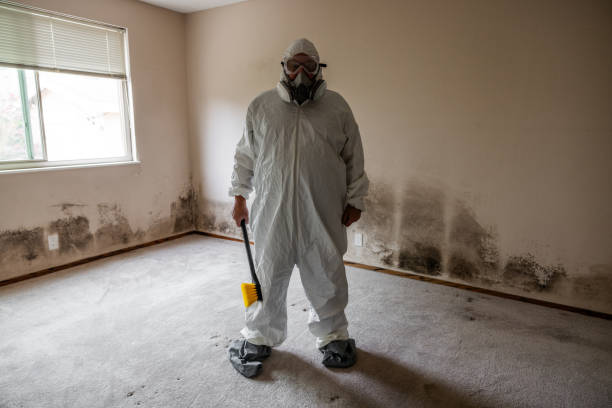 Best Mold Removal Company Near Me  in Jenks, OK