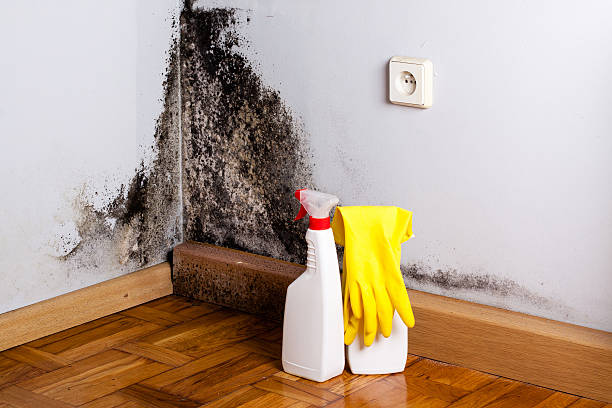 Best Mold Removal Process  in Jenks, OK