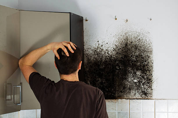 Best Professional Mold Removal  in Jenks, OK